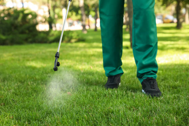 Best Local Pest Control Services  in Mattoon, IL