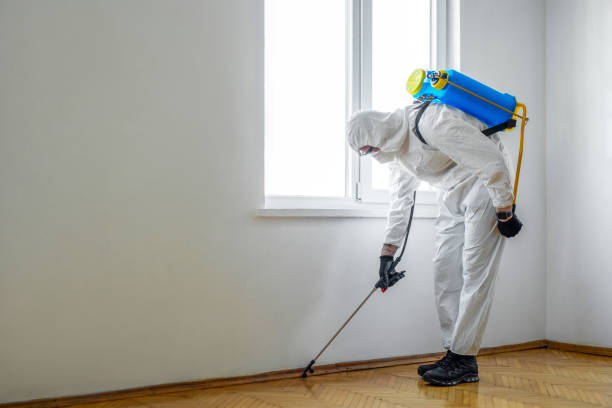 Best Pest Removal Services  in Mattoon, IL