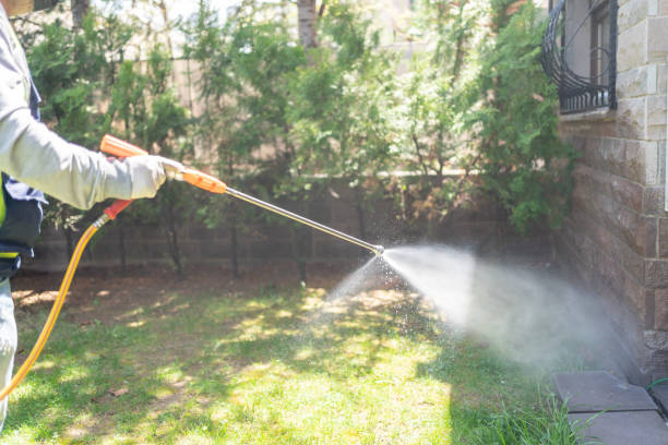 Pest Control for Restaurants in Mattoon, IL