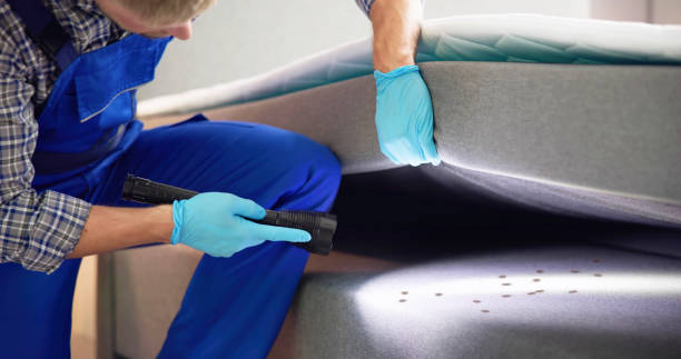 Best Cockroach Control Services  in Mattoon, IL