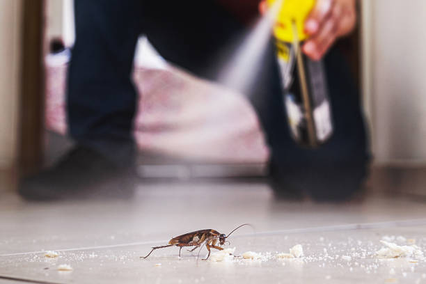 Best Best Pest Control Near Me  in Mattoon, IL