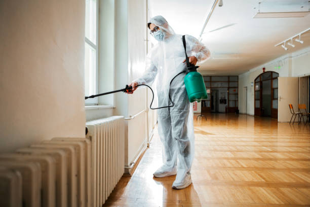 Best Pest Control Near Me  in Mattoon, IL